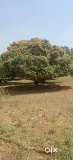 20 cents (gunte) land fr sale at 2.50L per cent Ramanagara