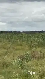 40 Acre Farm Land for Sale – Near Gauribidanur