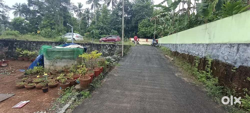 ANGAMALY TOWN NH 1KM 8 CENT