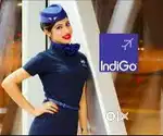 Urgent Hiring for Female Candidates Freshers & Experience  Apply Fast
