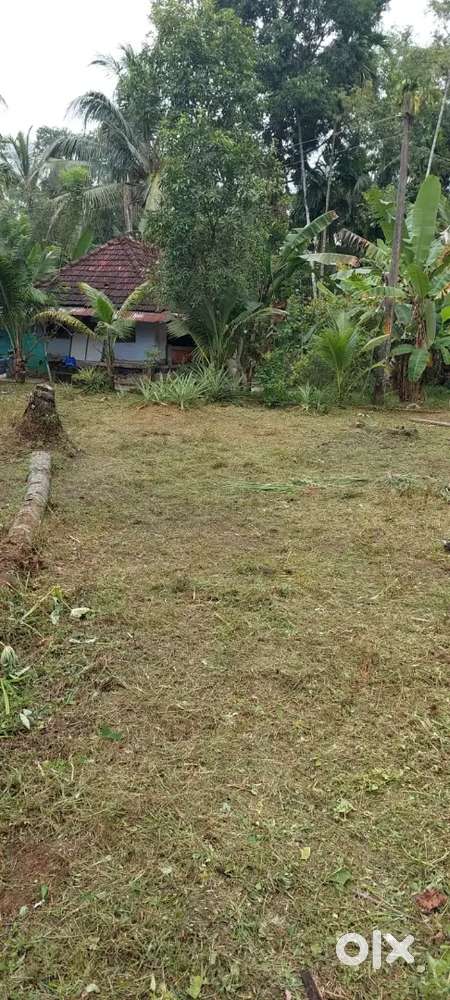 12 Cent Plot available for sale in Cherthala municipal area