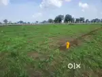 Open plots