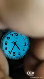 Timex Classic Dress Watch