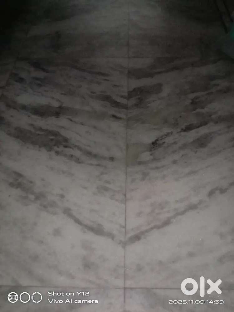 Avialable rooms for rent