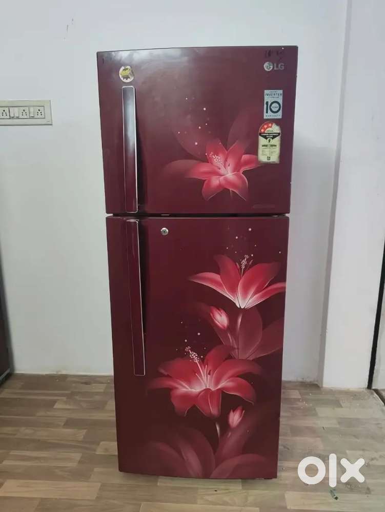 Lg double fridge fridge.