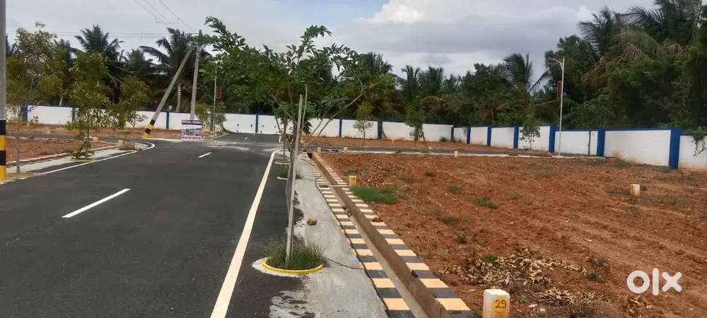 Land building