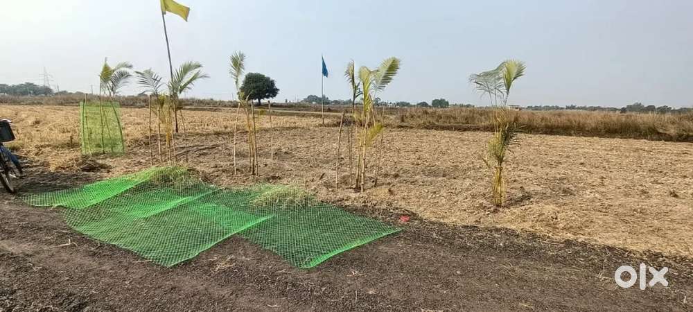 Residential plot Sale