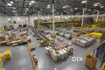 Packing scaner