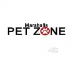 STORE EXECUTIVE