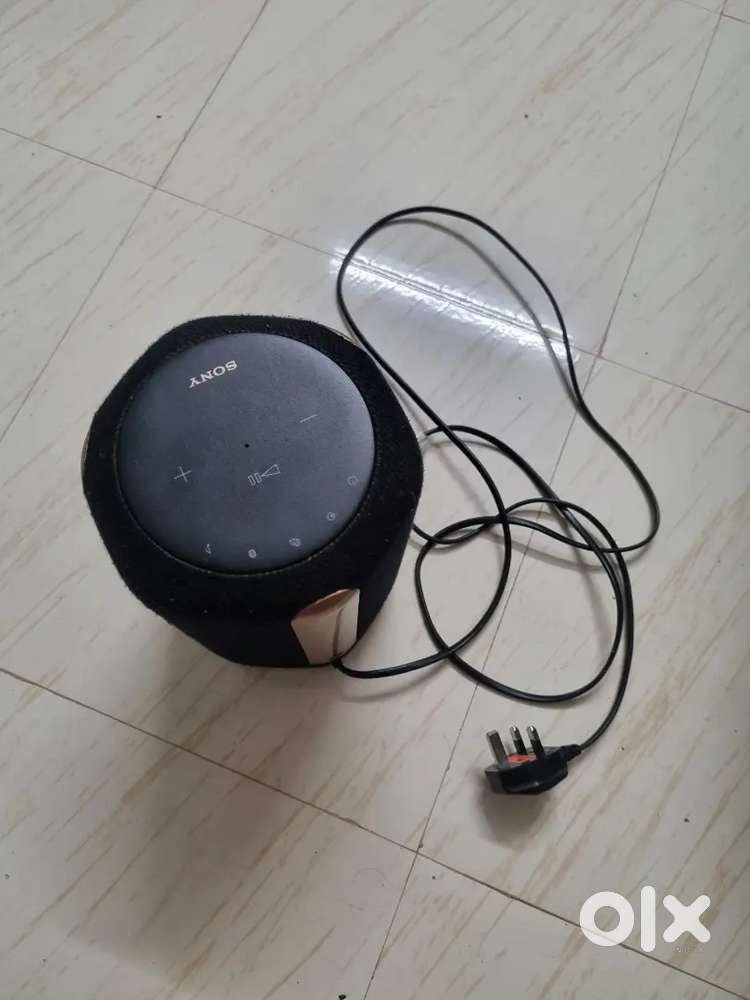 Sony speaker