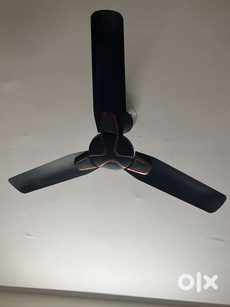 Celling Fan