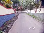 House plot 9.5 cents near MC road Caritas 4.5 lakh/cent