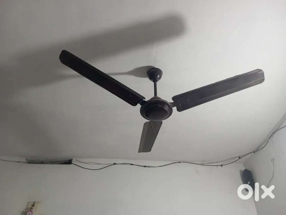 Celling fan