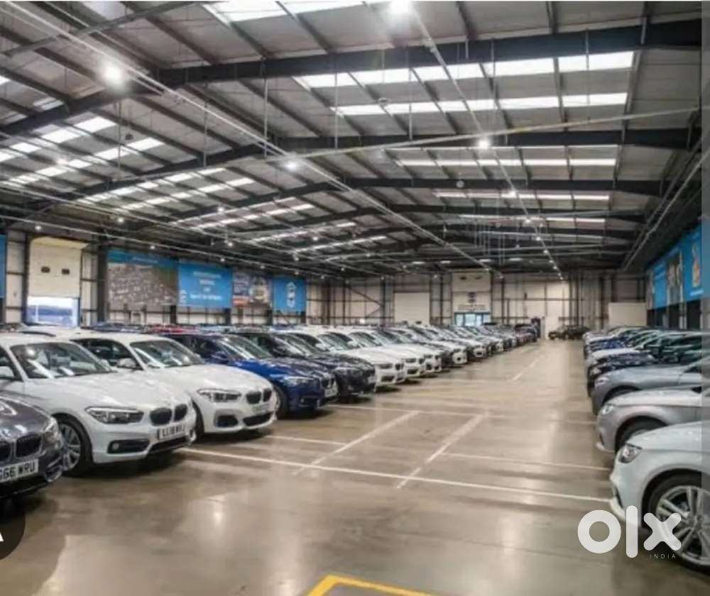 Male Sales Staff @ Car showroom