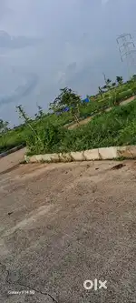 Launching offer free registration Residential plots @ IIT KANDI