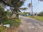 5Cent 10Cent Plots For Sale Near Varapuzha Muttinakam Road