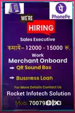 PhonePe Sales Executive
