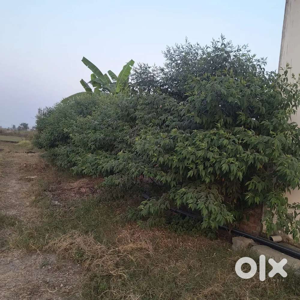 NH 74 highway ke saamne se dikhta hai