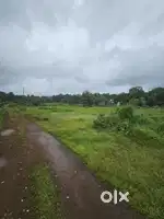 14 acres Land at Aravanchal Payyanur