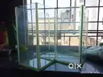 Corner Aquarium fish tank