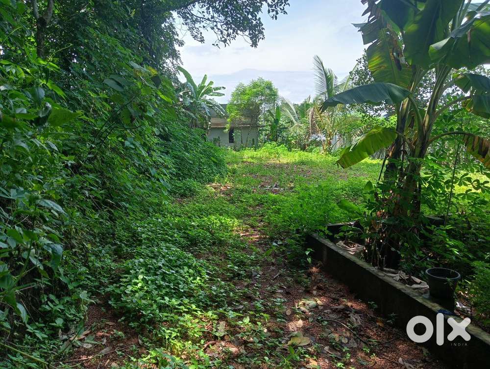 8 Cent Land with Open Well for Sale