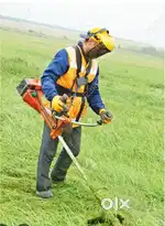 Grass cutting service