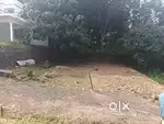 5 cent plot near moolekurish , mulanthuruthy