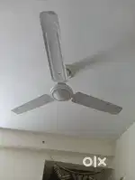 Usha white fan 2years old