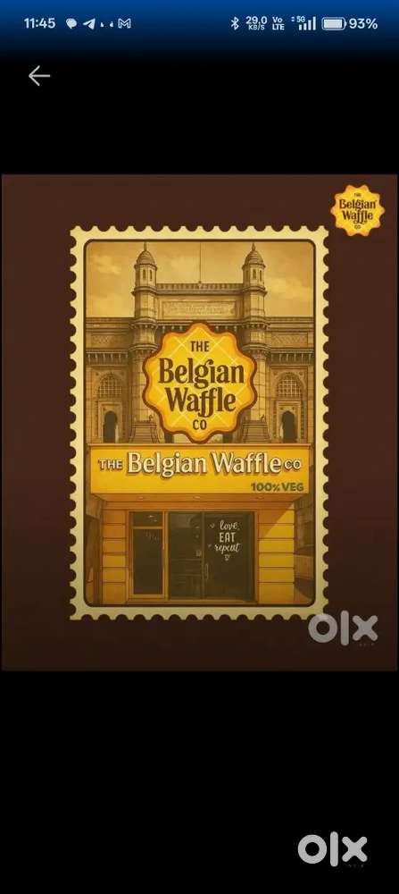 The Belgian waffles co