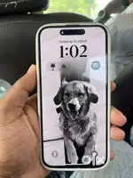 Iphone 15Plus