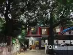 Office for rent in shanti colony