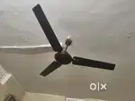 Bajaj Ceiling Fan