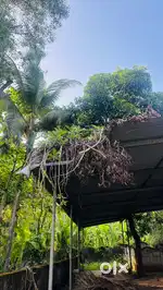 Edappal. Home and land sale