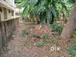 7 cents of Prime Residential Property near Palarivattom