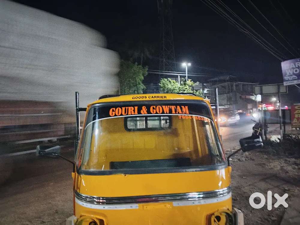 Driver tata ace zip xl