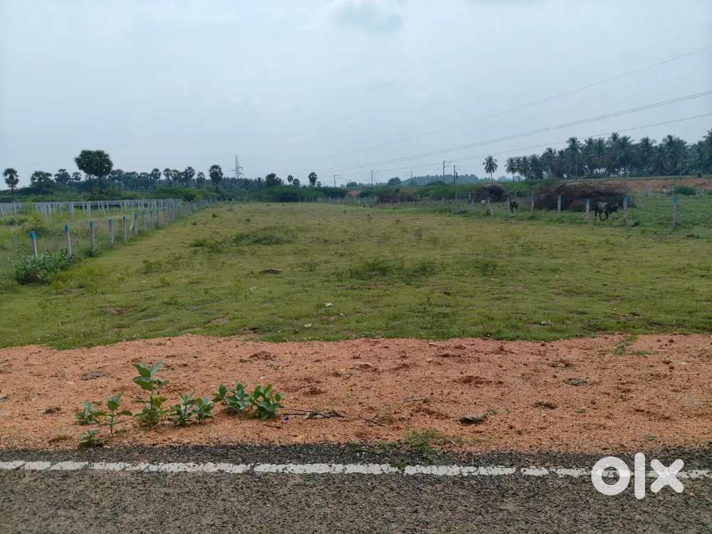 Land sale near vadipatti
