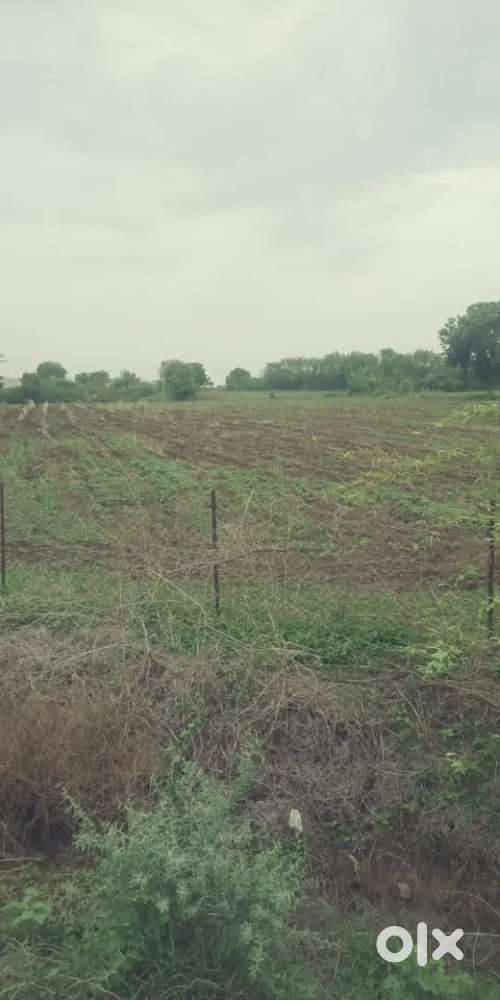 4.5 Acres Land at Lontek Amravati for sale