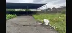 Land for Sale – 28,500 Sqft Near Gondwara Nahar Road, Raipur