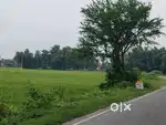 Agriculture Land 15 Katta For Sale
