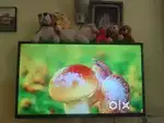 Micromax 43 HD TV
