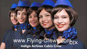 Female Candidates Freshers & Experience  Apply Fast Join Us Indigo Air