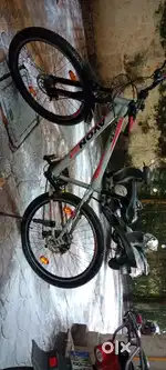 8 months old cycle
