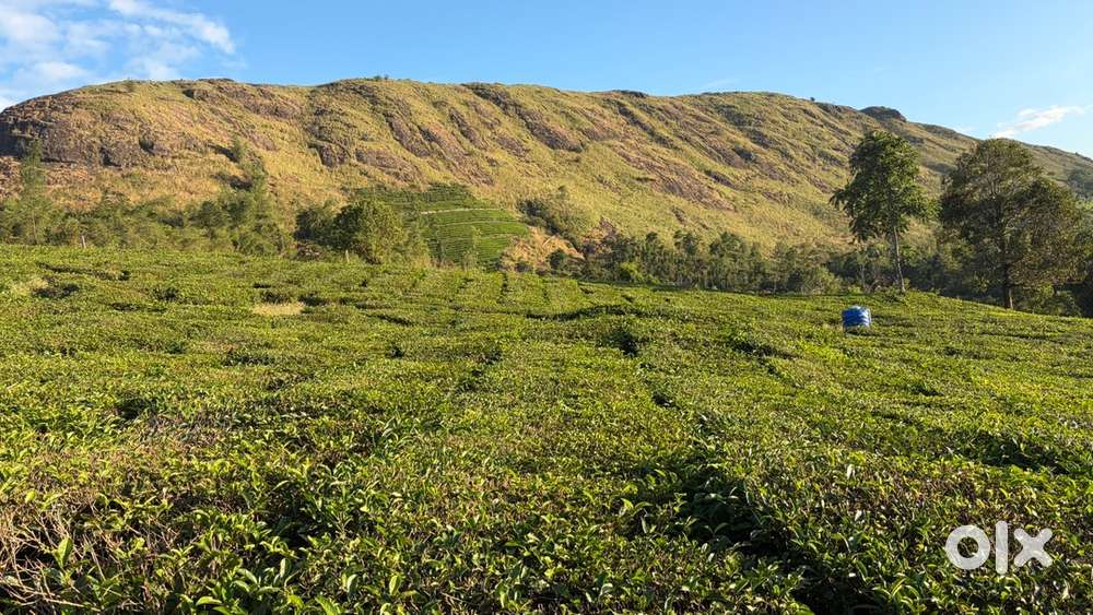 Only 68000/cent at Vagamon