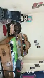 Need a female flatmate for an independent 1bhk flat