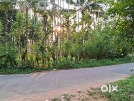 LAND FOR SALE NEAR NALANDA H S SCHOOL, KIZHUPILLIKKARA.