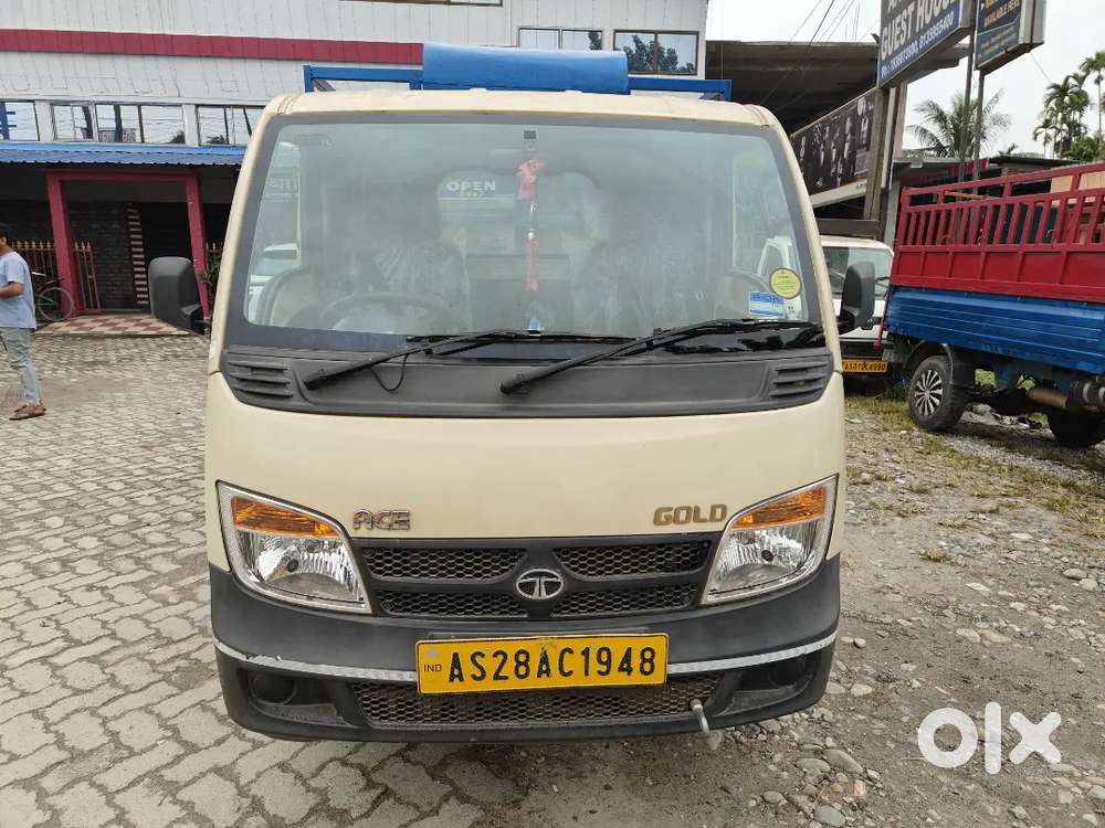 Tata Ace Gold Petrol