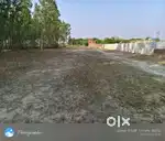 2 beegha on road kusmara road par