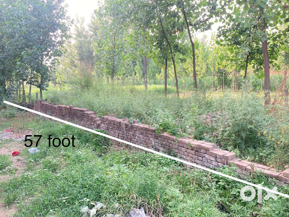 Plot for sale, independent plot