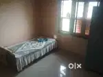 1room kitchen and attached toilet rent in Ameerpet metro