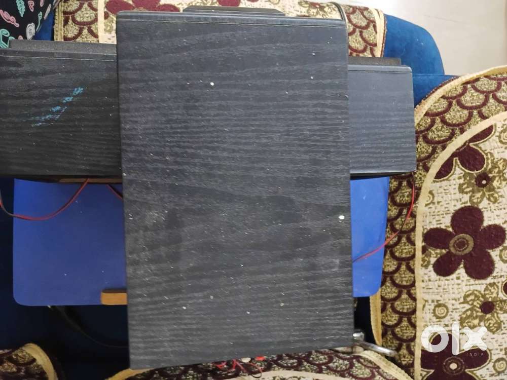 FSD speaker